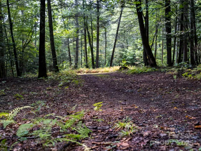 a view of backyard with green space
