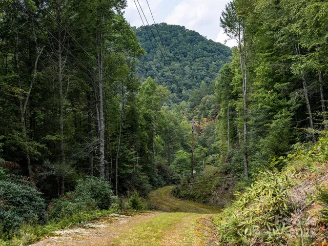 a view of lake with green space