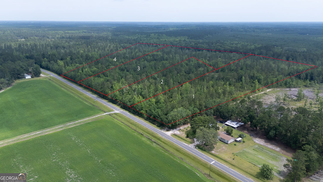 0 Old Louisville Road, Unit LOT 6 Guyton, GA 31312 - Photo 18 of 19 a view of a lush green outdoor space with a lake view