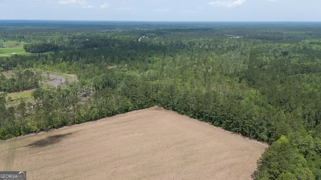 a view of a field with an ocean