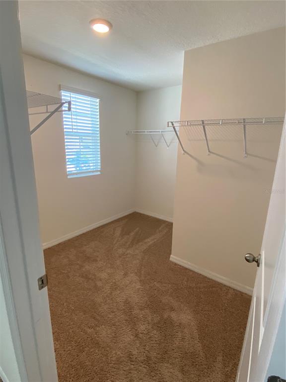 476 Olive Conch Street Ruskin, FL 33570 - Photo 23 of 31