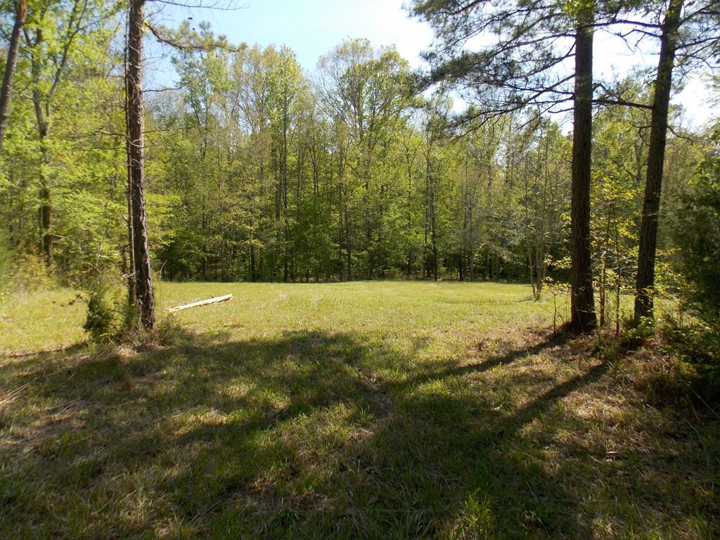 162 Prater Road Lincolnton, GA 30817 - Photo 1 of 19 Main View