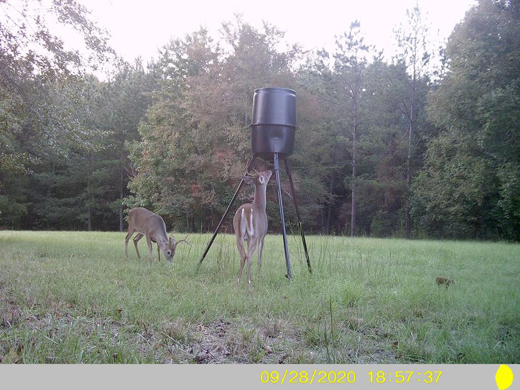 162 Prater Road Lincolnton, GA 30817 - Photo 17 of 19 Gallery Image 17