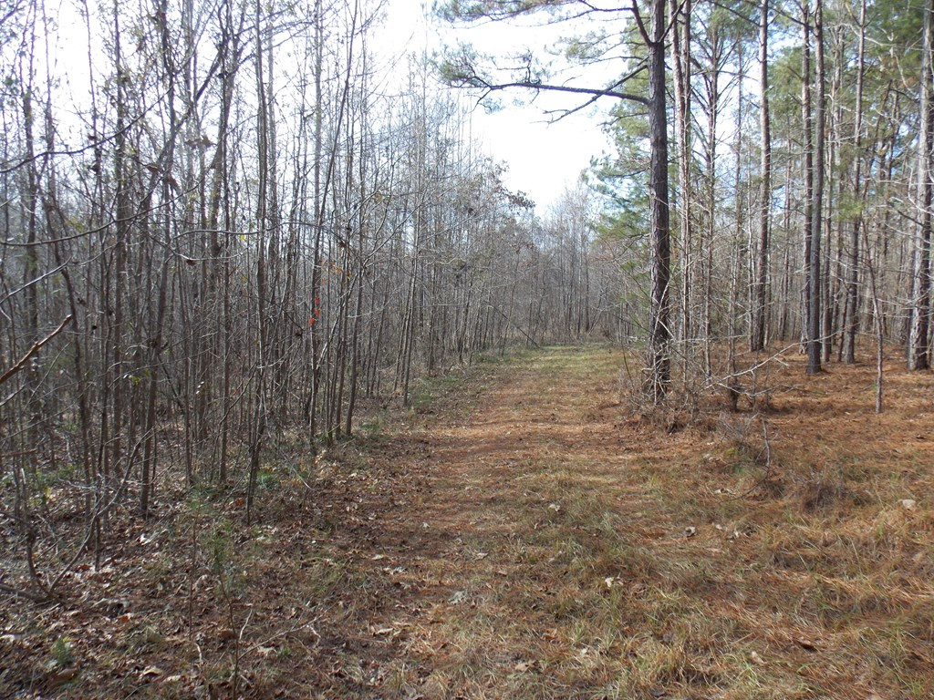 162 Prater Road Lincolnton, GA 30817 - Photo 4 of 19 Gallery Image 4