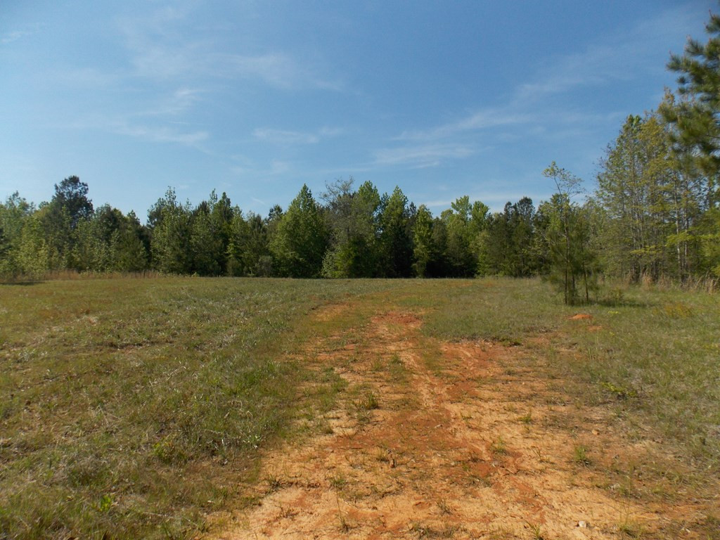 162 Prater Road Lincolnton, GA 30817 - Photo 10 of 19 Gallery Image 10