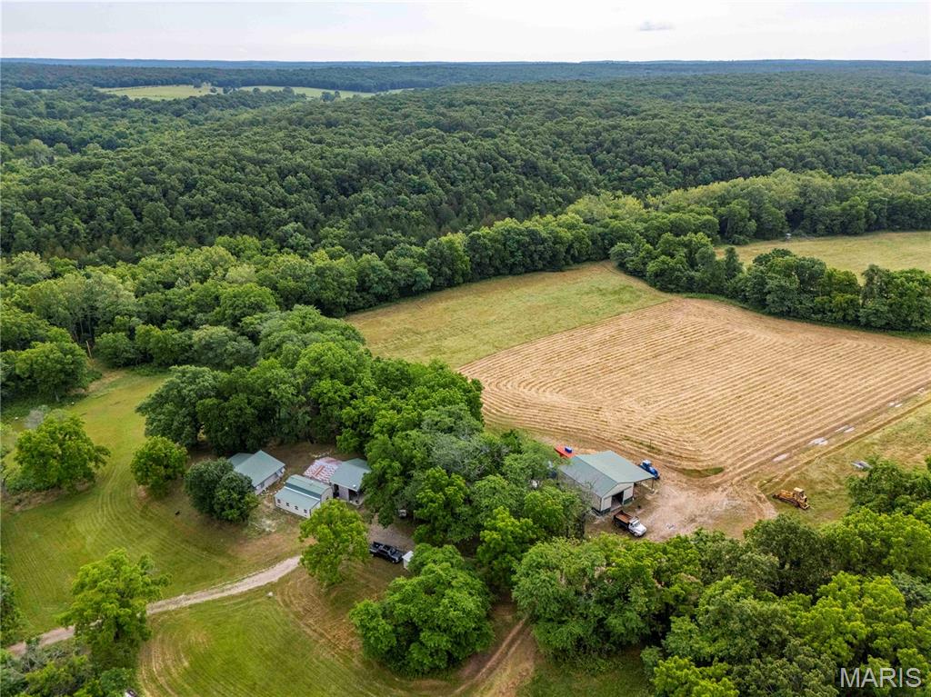 0 Abram Road Hartville, MO 65667 - Photo 2 of 97