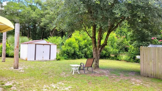 a view of a garden with a tree