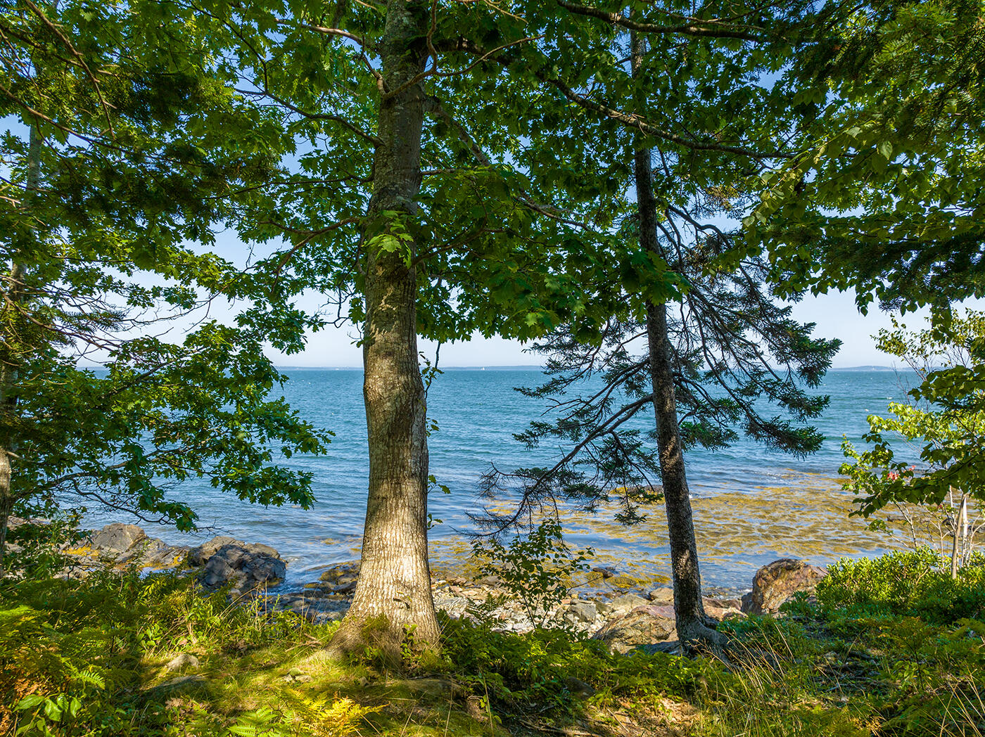 0 Beloin Road Camden, ME 04843 - Photo 11 of 16 DJI_0250