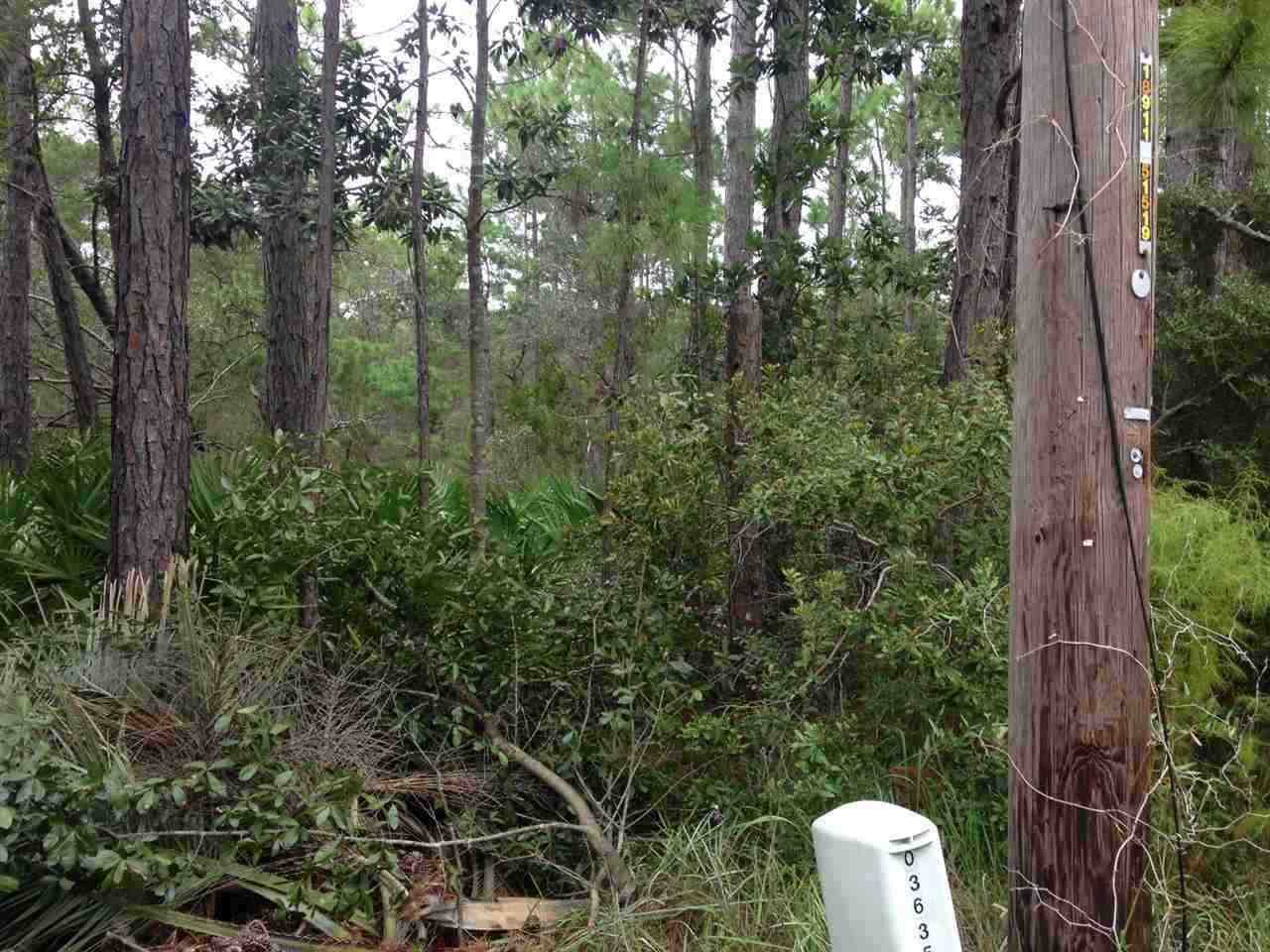 Lot 4 Quail Run Road Gulf Breeze, FL 32563 - Photo 2 of 11 Gallery Image 2