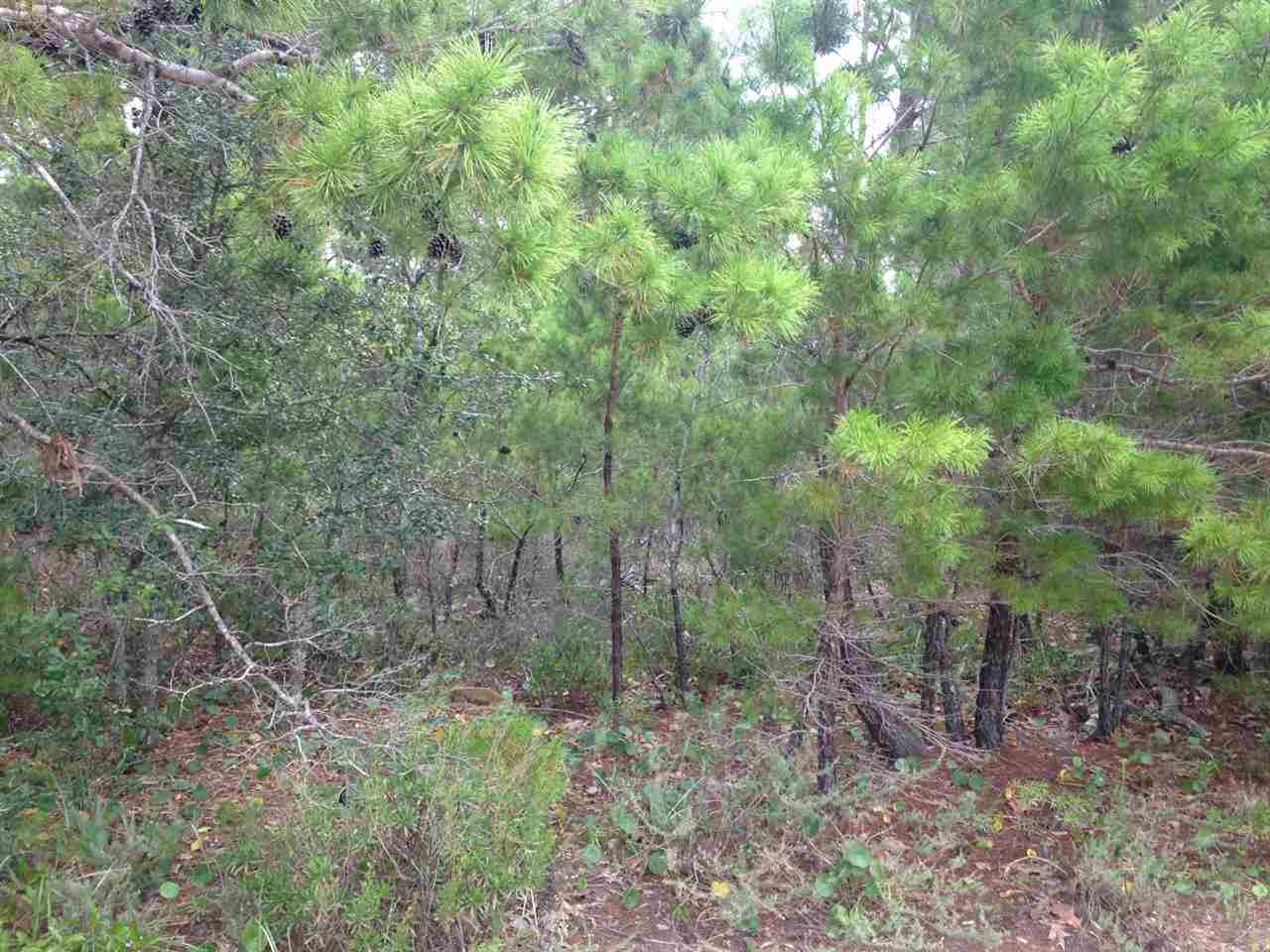 Lot 4 Quail Run Road Gulf Breeze, FL 32563 - Photo 4 of 11 Gallery Image 4