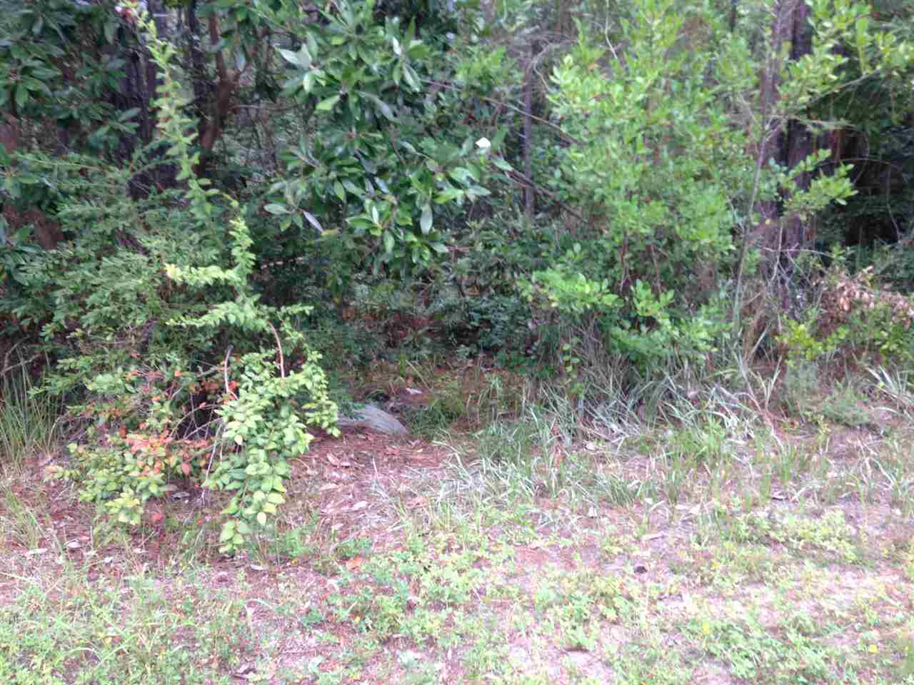 Lot 4 Quail Run Road Gulf Breeze, FL 32563 - Photo 6 of 11 Gallery Image 6