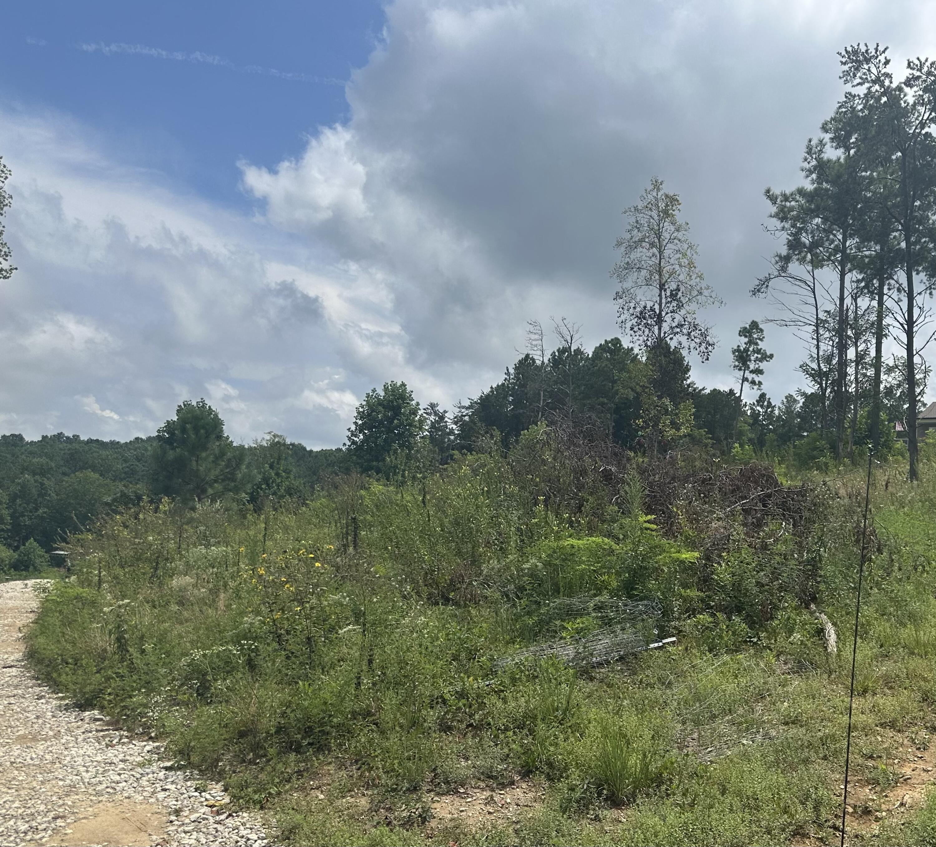 11342 Fredonia Road Dunlap, TN 37327 - Photo 3 of 7 IMG_3043