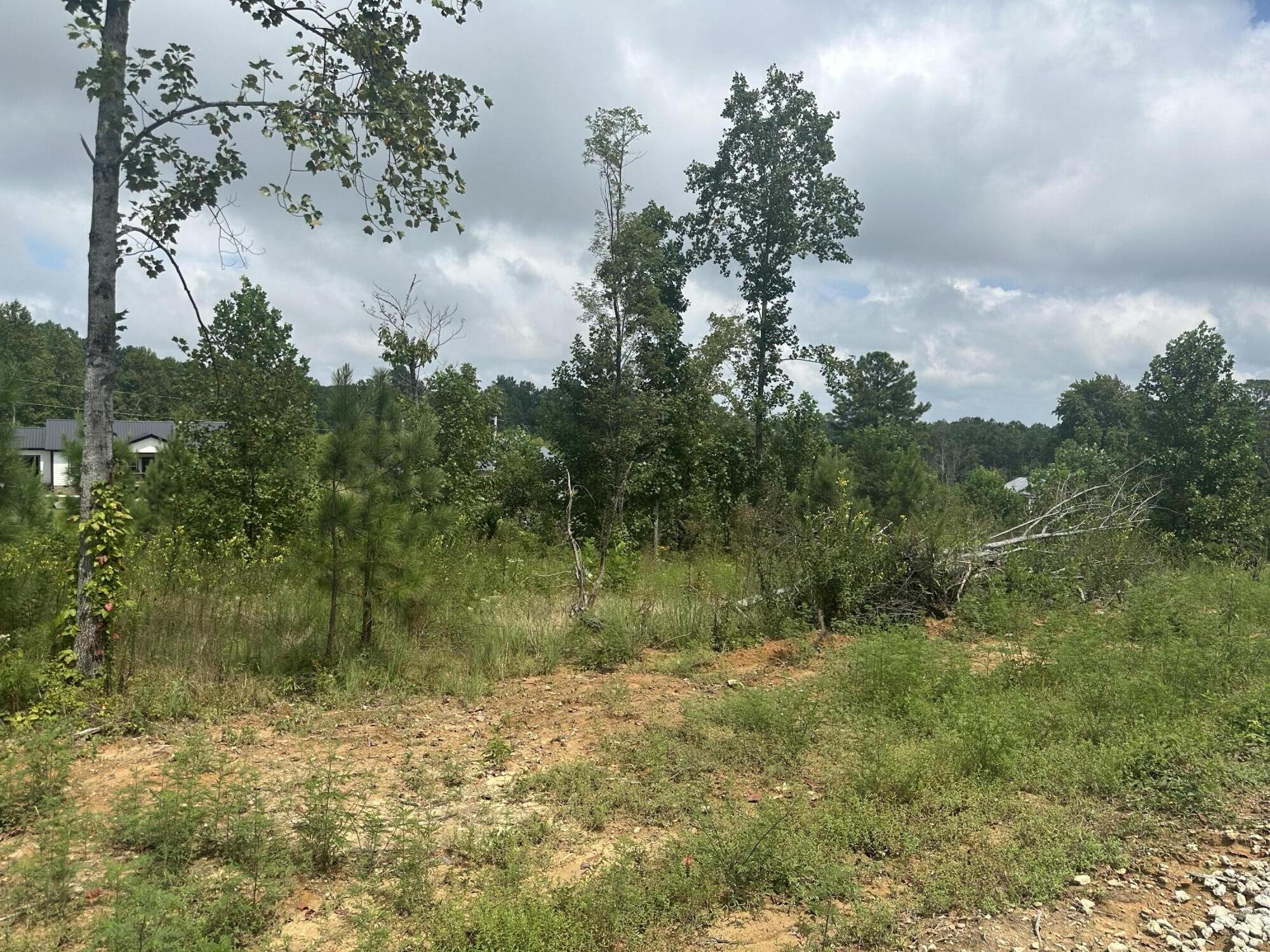 11342 Fredonia Road Dunlap, TN 37327 - Photo 4 of 7 IMG_3042