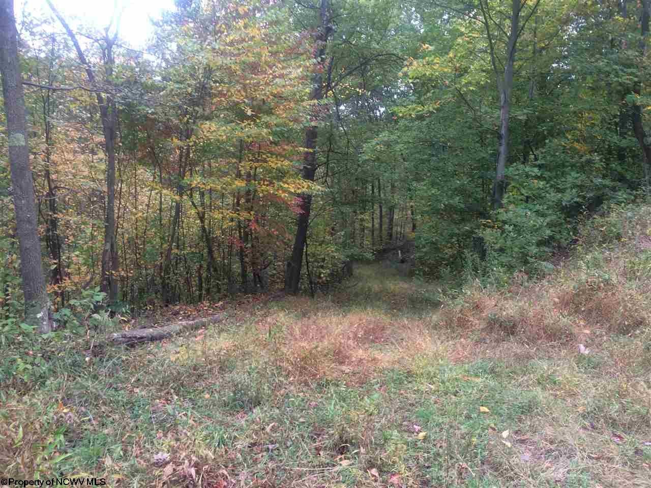 Tbd Mountain Run Road Masontown, WV 26542 - Photo 7 of 13 Gallery Image 7