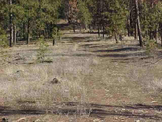 N/a Corkscrew Canyon Road Ford, WA 99013 - Photo 1 of 6