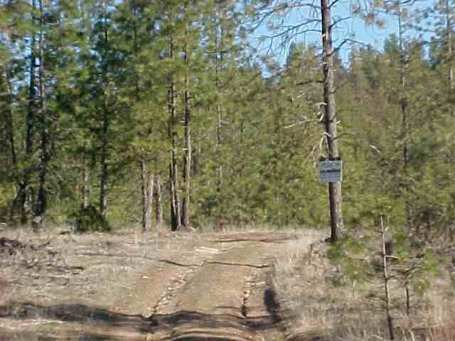 N/a Corkscrew Canyon Road Ford, WA 99013 - Photo 2 of 6