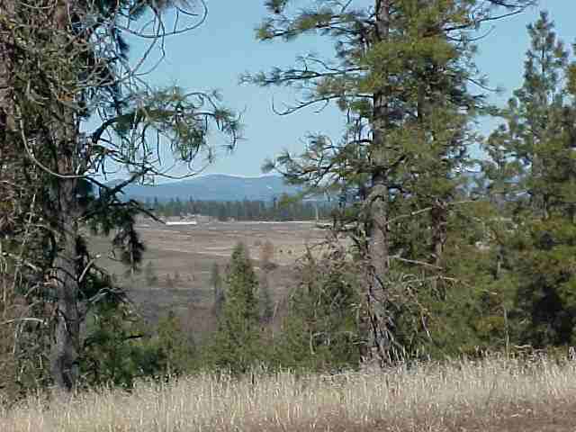 N/a Corkscrew Canyon Road Ford, WA 99013 - Photo 5 of 6
