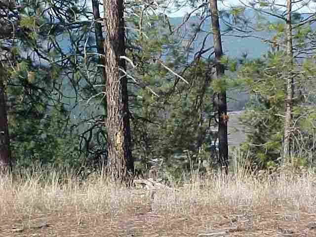 N/a Corkscrew Canyon Road Ford, WA 99013 - Photo 6 of 6