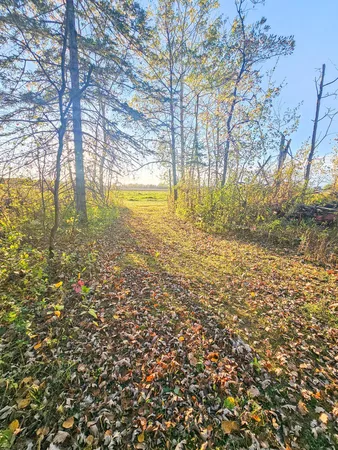 $331,900 | 14590 380th Street Northeast, Middle River, MN 56737