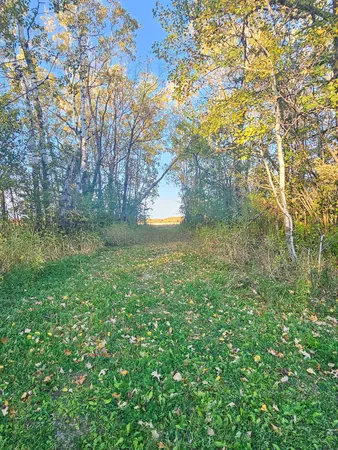 $331,900 | 14590 380th Street Northeast, Middle River, MN 56737