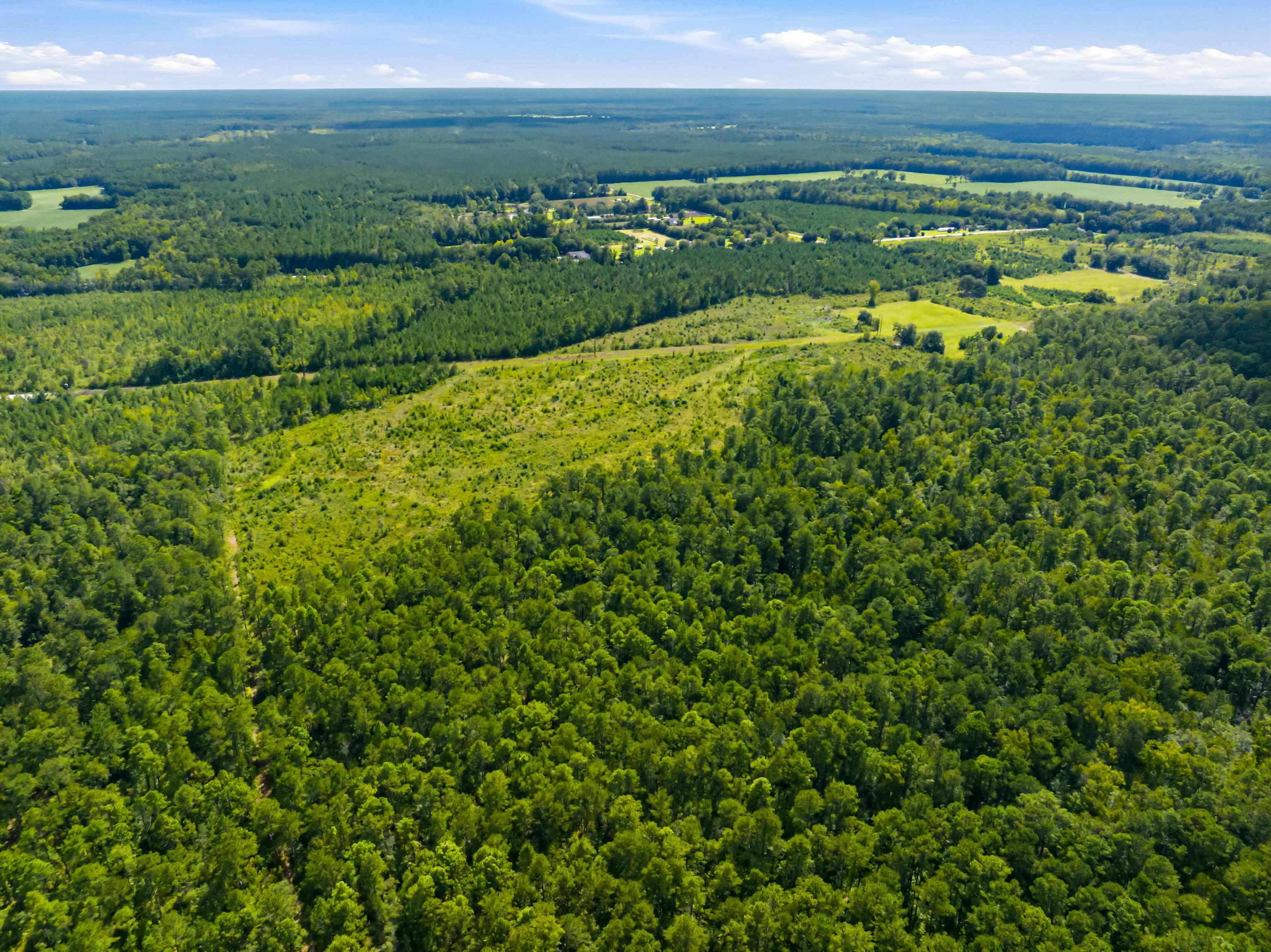 1569 Dave Plowden Pond Road Manning, SC 29102 - Photo 38 of 92 Gallery Image 38