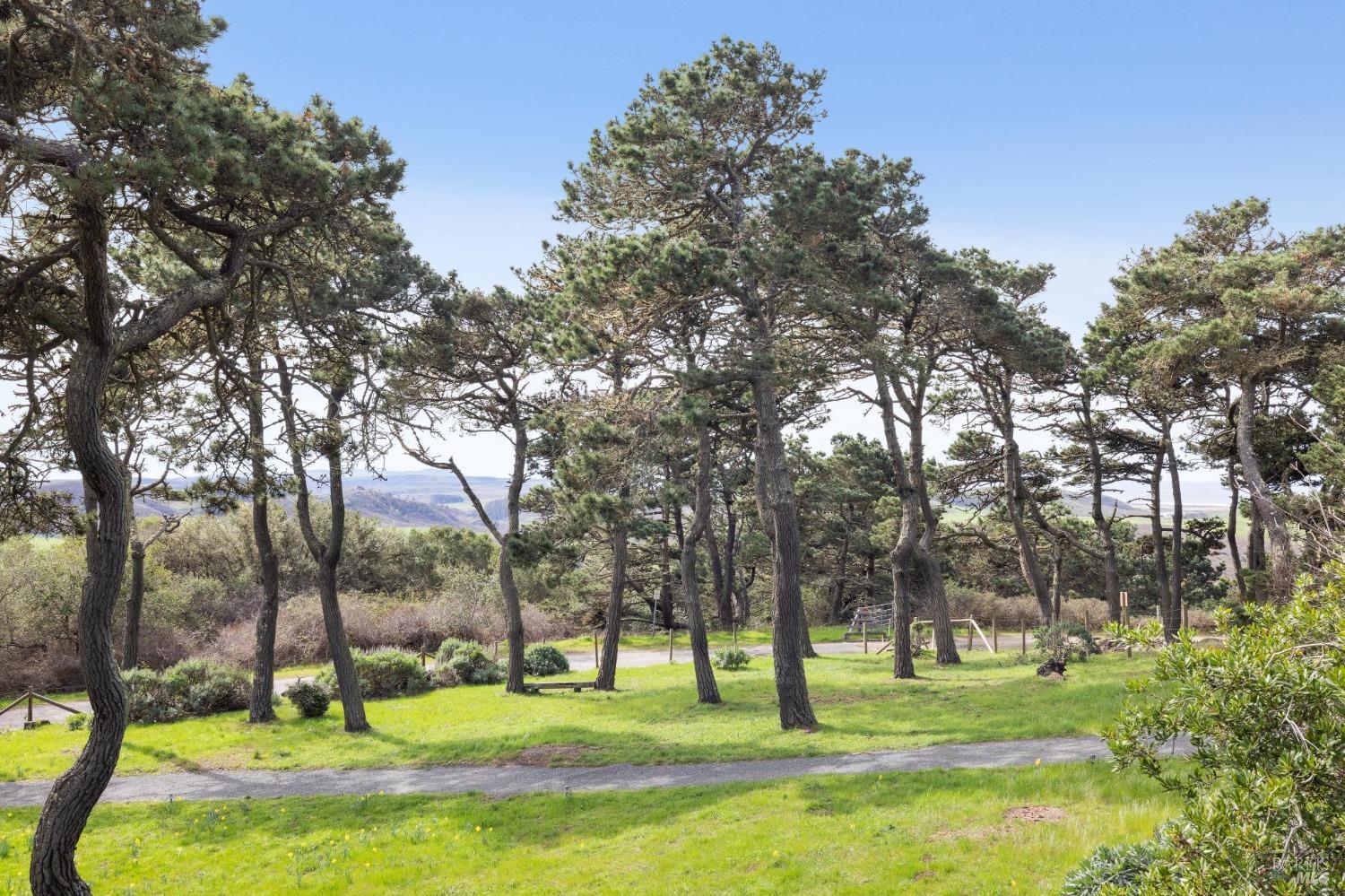 1208 Pierce Point Road Inverness, CA 94937 - Photo 36 of 89