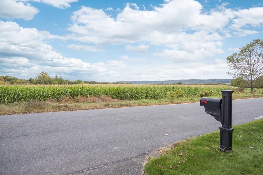 101 Plain Road Deerfield, MA 01373 - Photo 7 of 33 a view of a road with a yard