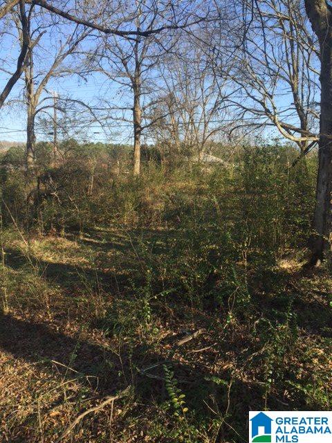 2217 Exeter Avenue Bessemer, AL 35020 - Photo 8 of 8