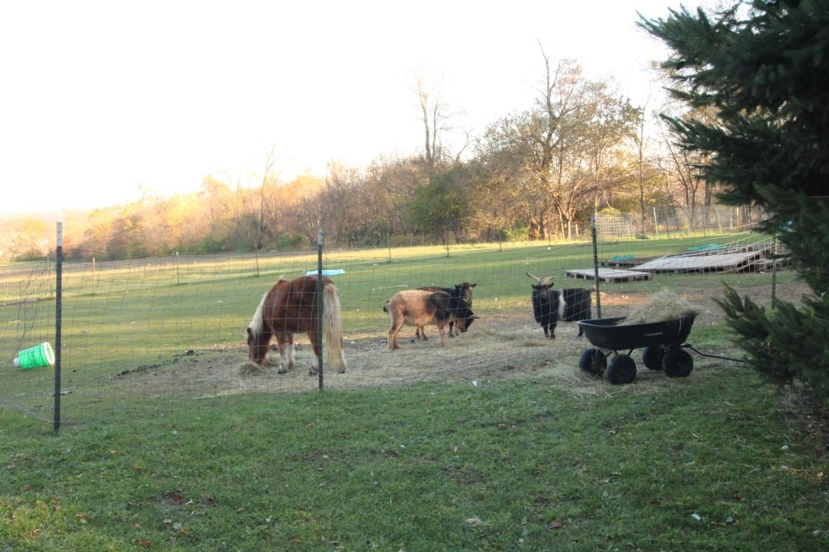 9953 Old River Road Roscoe, IL 61073 - Photo 20 of 27 Gallery Image 20