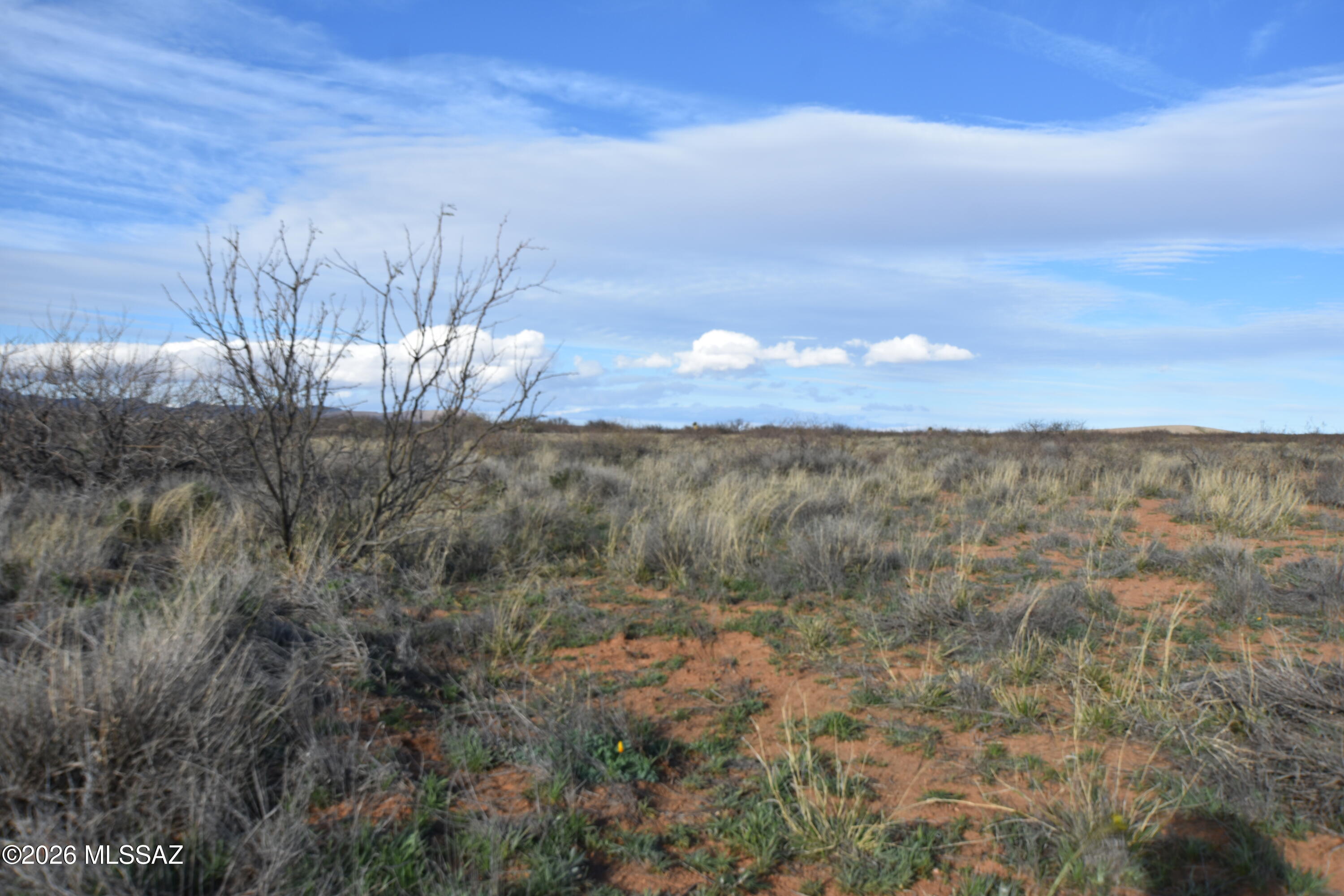 East Howling Wolf Road Willcox, AZ 85643 - Photo 5 of 49
