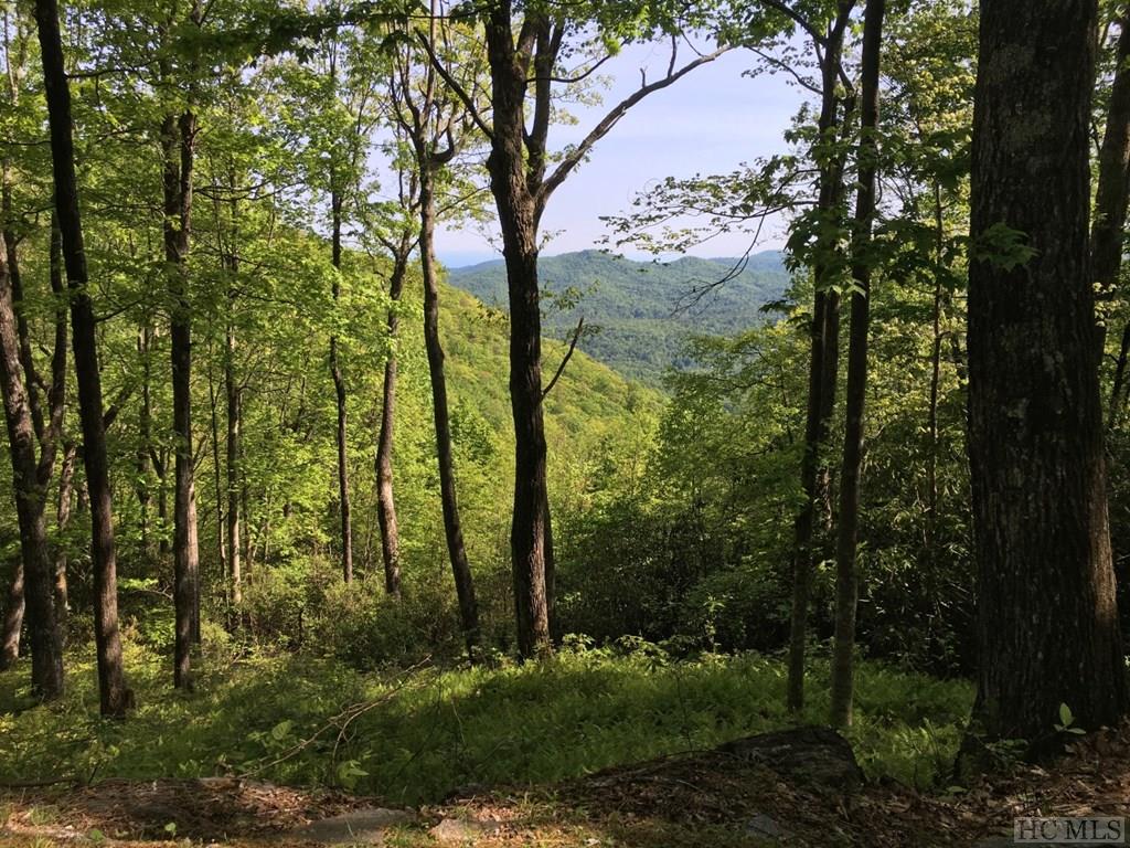 Lot 2 Tower Road Sapphire, NC 28774 - Photo 6 of 35 Gallery Image 6