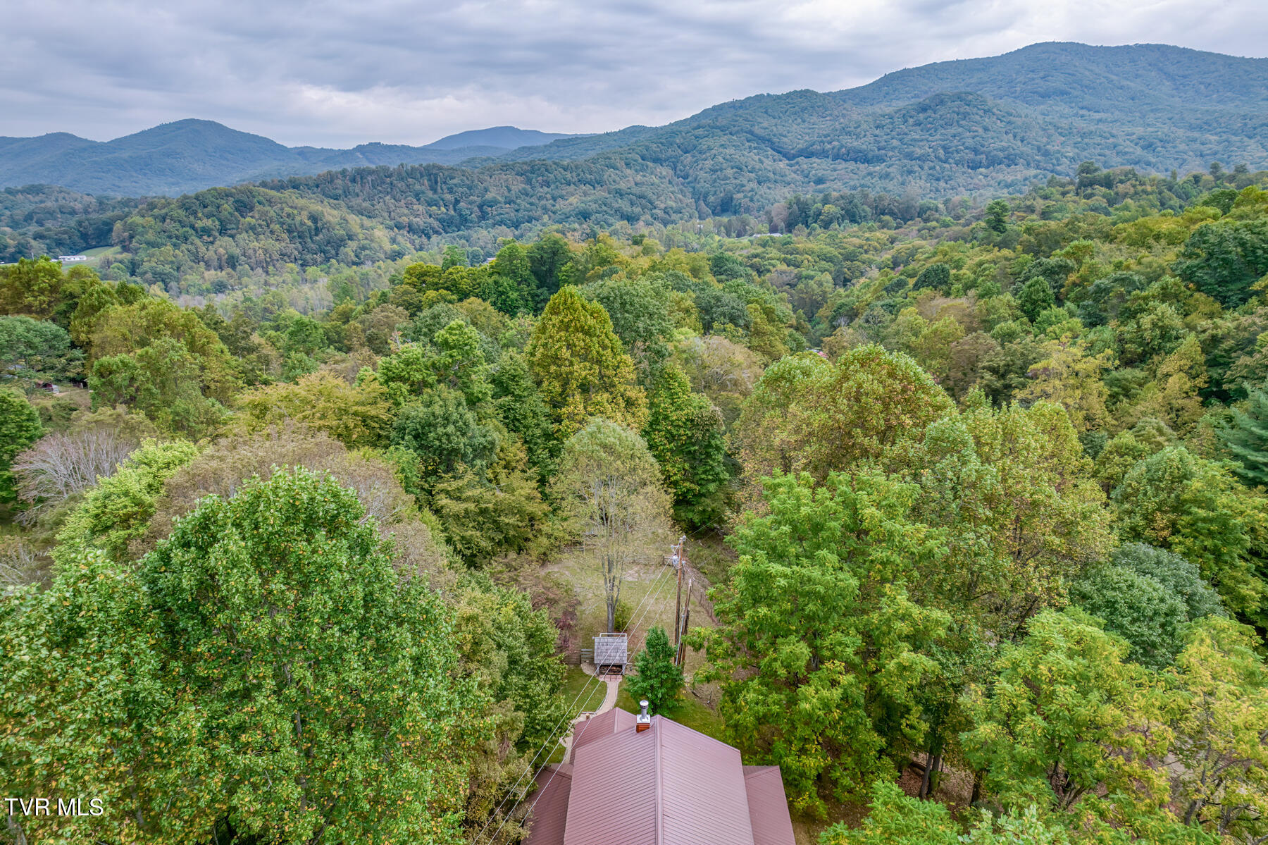 160 Conley Stevens Road Roan Mountain, TN 37687 - Photo 58 of 68 160 Conley Stevens Rd-5