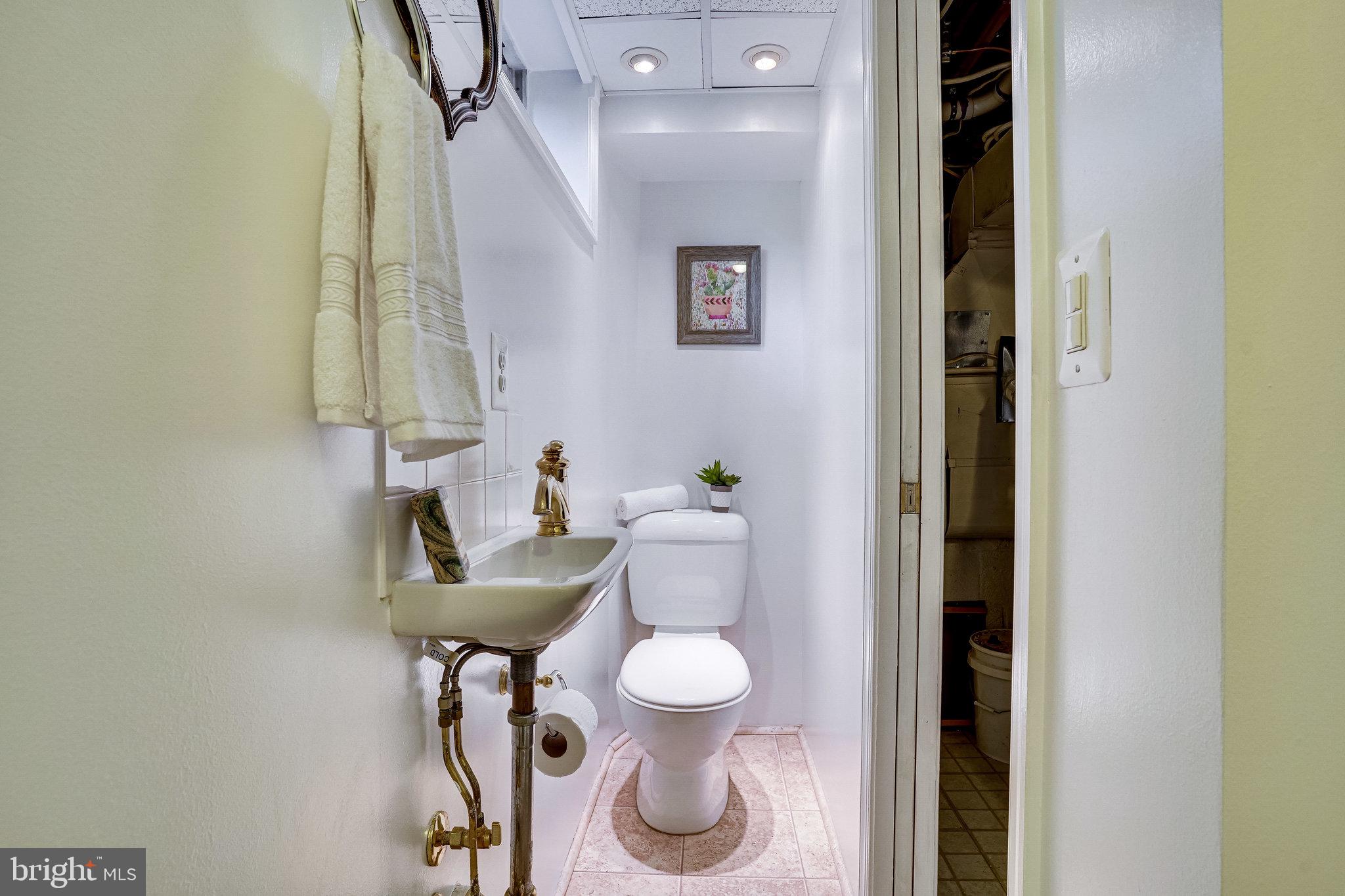 7309 Bath Street Springfield, VA 22150 - Photo 55 of 75 Lower Level Full Bath