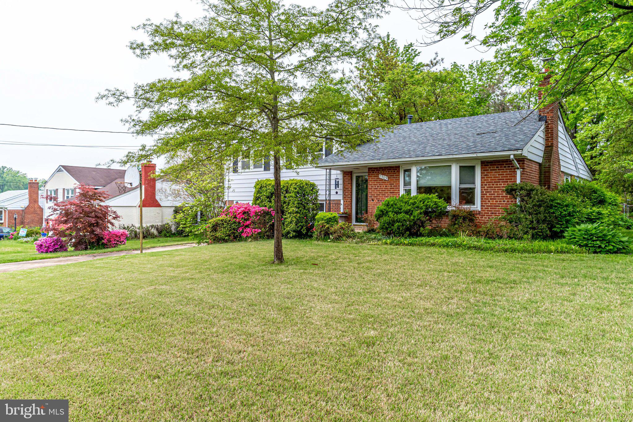 7309 Bath Street Springfield, VA 22150 - Photo 6 of 75