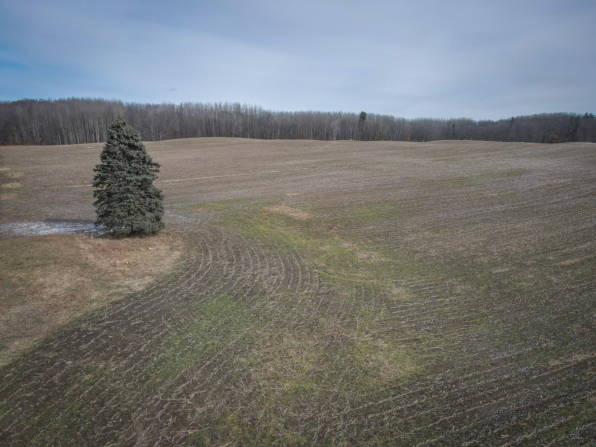 North Campbell Road Branch, MI 49402 - Photo 18 of 27 DJI_0094