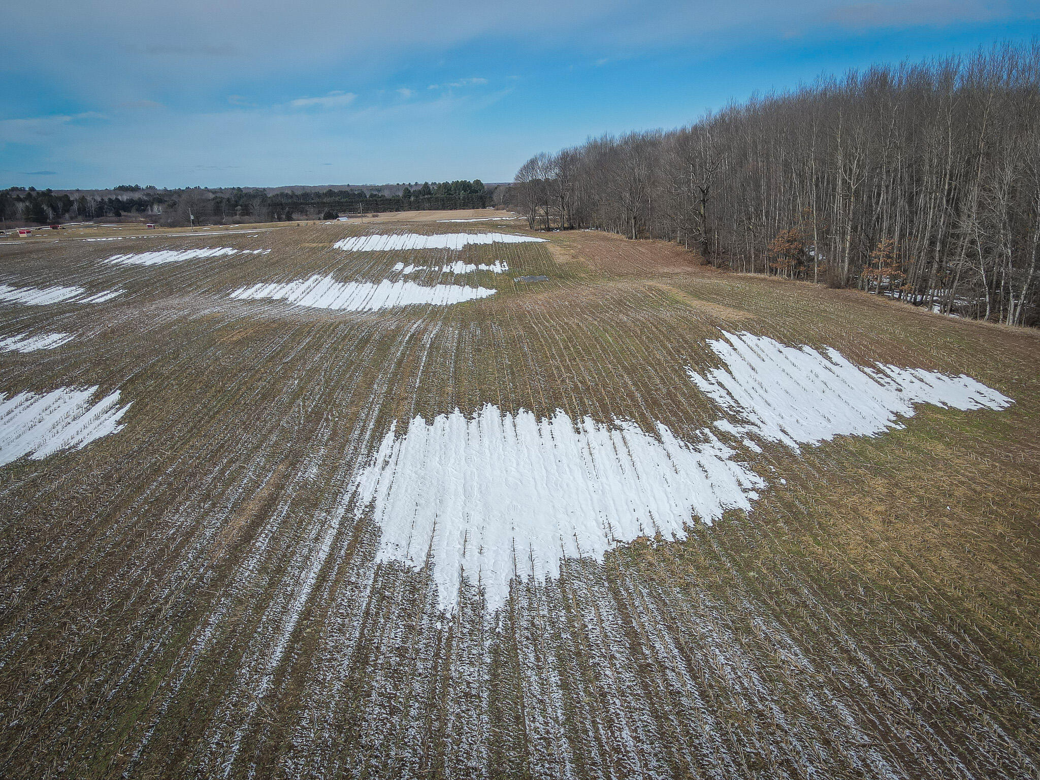 North Campbell Road Branch, MI 49402 - Photo 5 of 27 DJI_0076