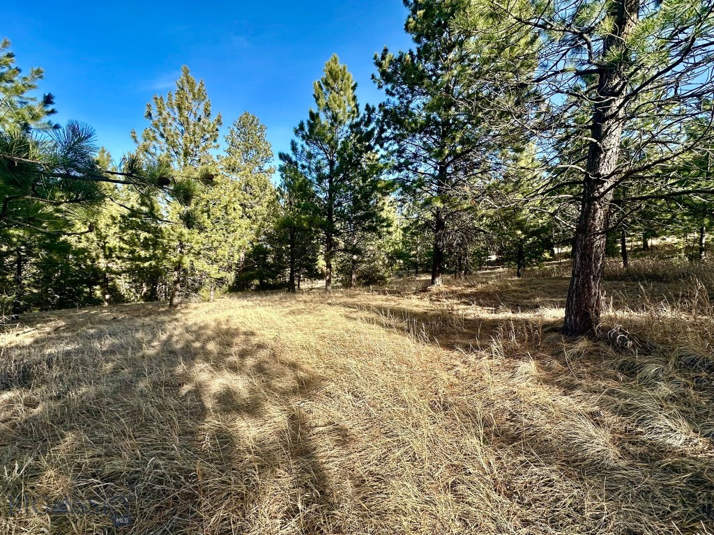 Tbd Martinez Gulch Road Clancy, MT 59634 - Photo 7 of 14 Gallery Image 7