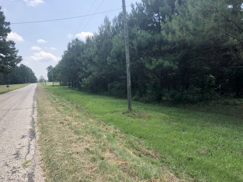 68 Union Church Road Tylertown, MS 39667 - Photo 11 of 40 Photo 11
