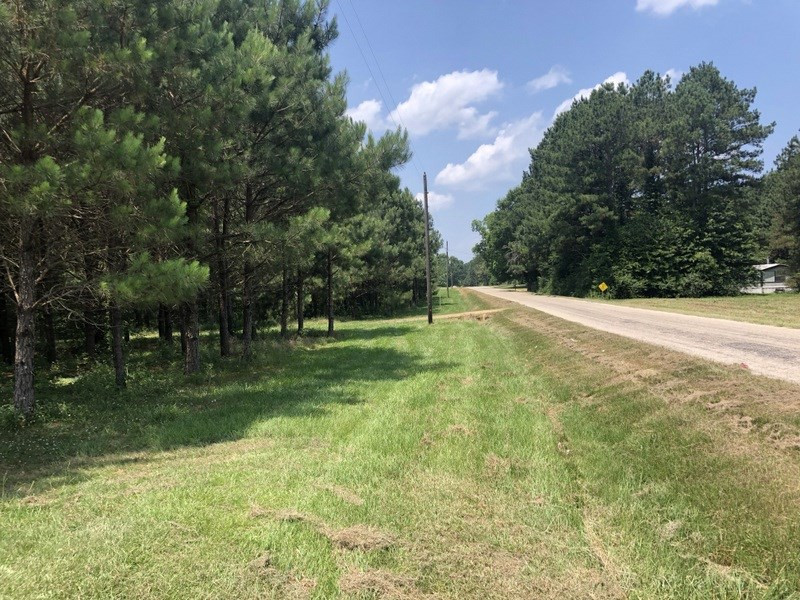 68 Union Church Road Tylertown, MS 39667 - Photo 12 of 40 Photo 12