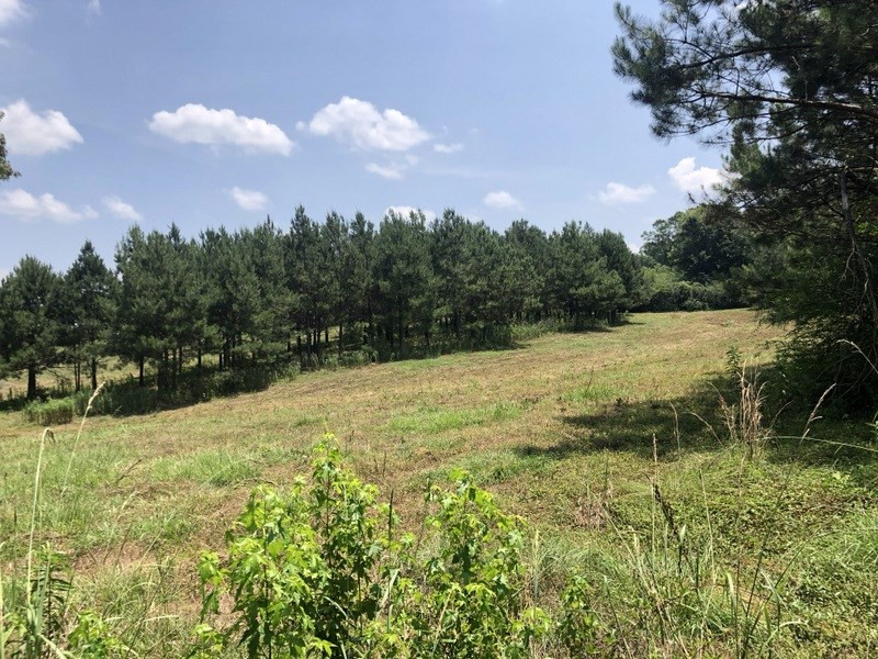 68 Union Church Road Tylertown, MS 39667 - Photo 15 of 40 Photo 15