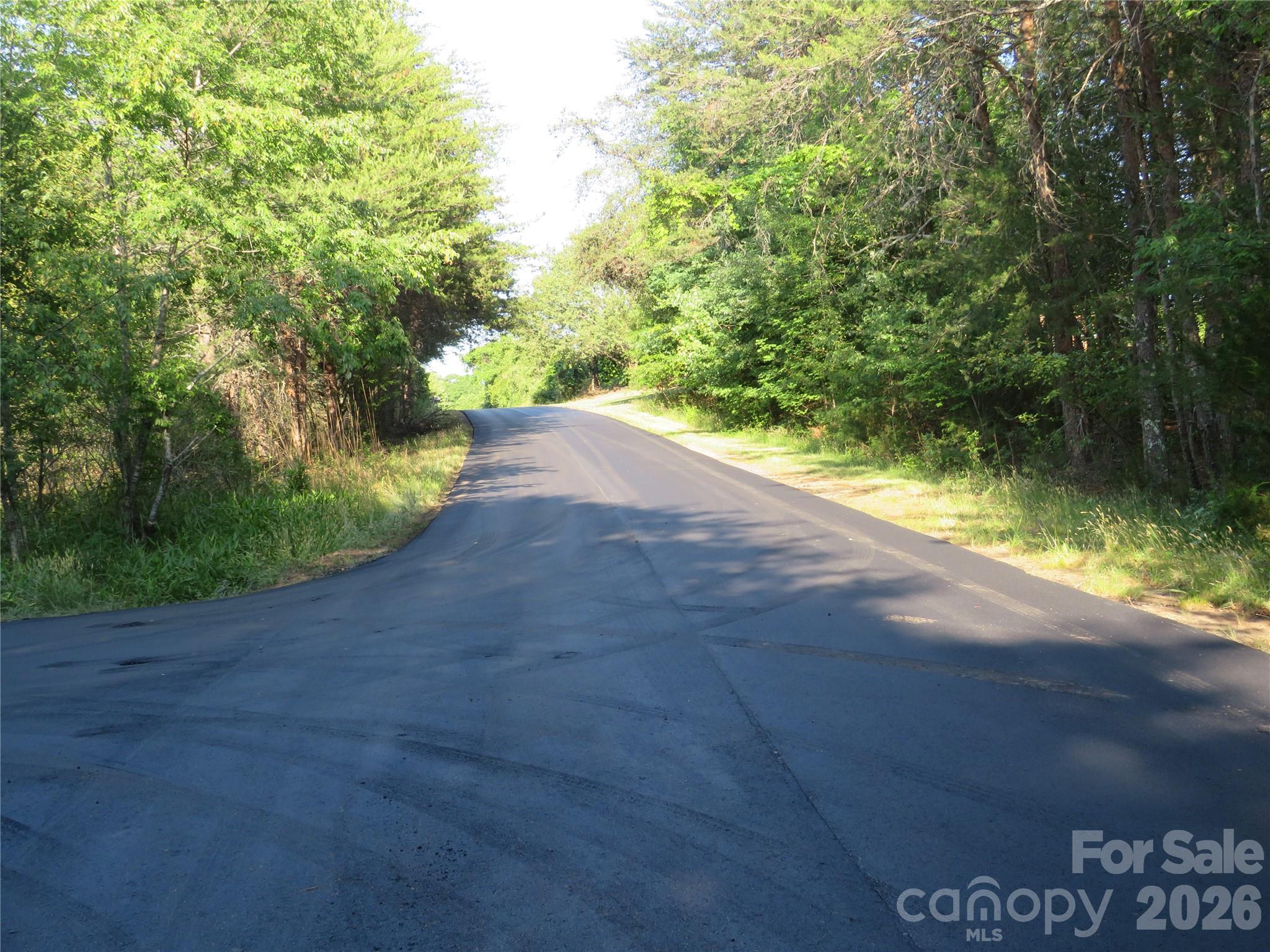 262 Flat Rock Road Forest City, NC 28043 - Photo 28 of 41