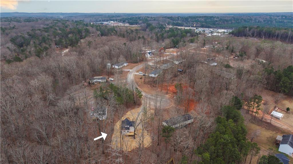 533 Tree Ridge Drive Carrollton, GA 30116 - Photo 47 of 50