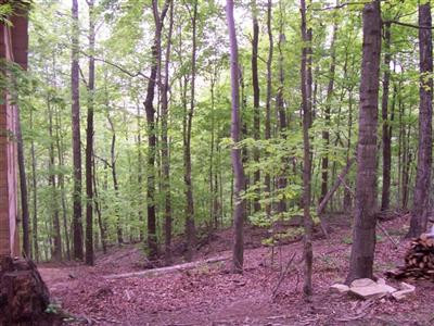 138 Buzzard Rock Road McKee, KY 40447 - Photo 5 of 16 Photo 5