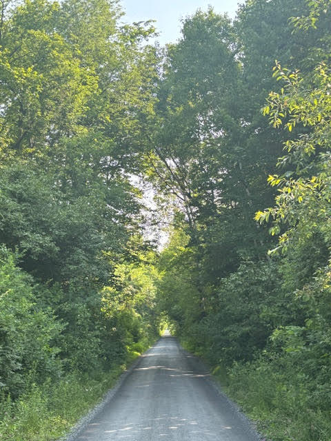 113 D Street Pittsfield, ME 04967 - Photo 18 of 19 Trail Picture