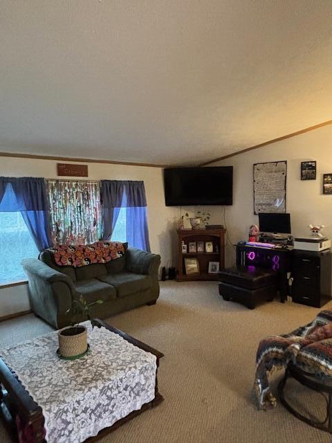 113 D Street Pittsfield, ME 04967 - Photo 9 of 19 Living Room 1