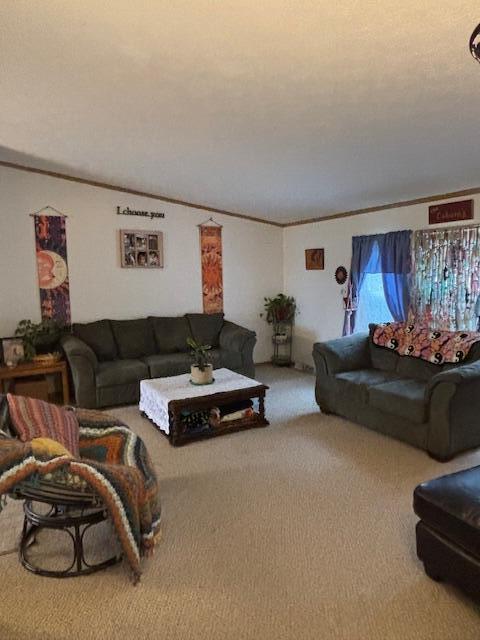 113 D Street Pittsfield, ME 04967 - Photo 10 of 19 Living Room 2