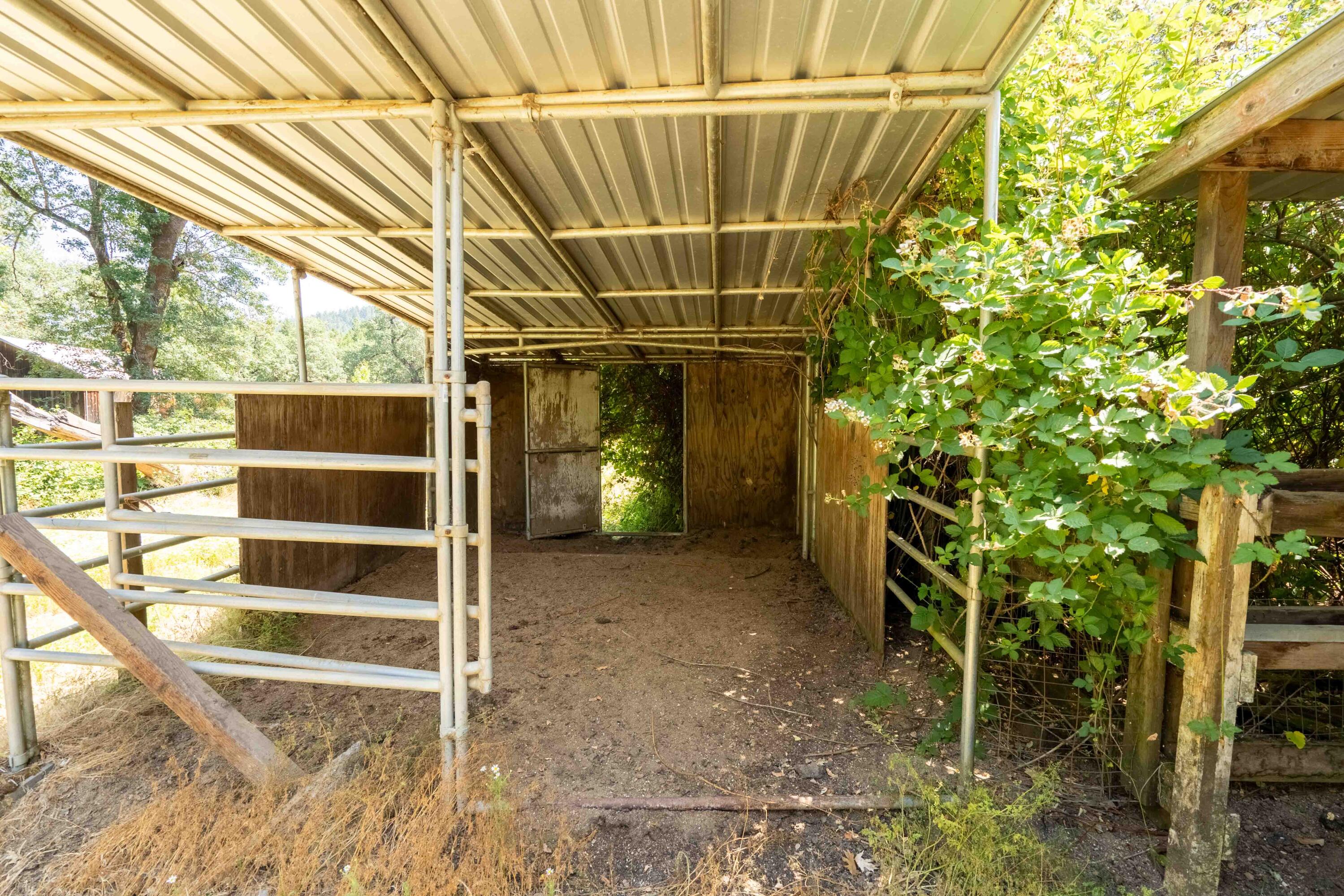 244 Griffin Road Grants Pass, OR 97527 - Photo 73 of 96 DSC07518-HDR