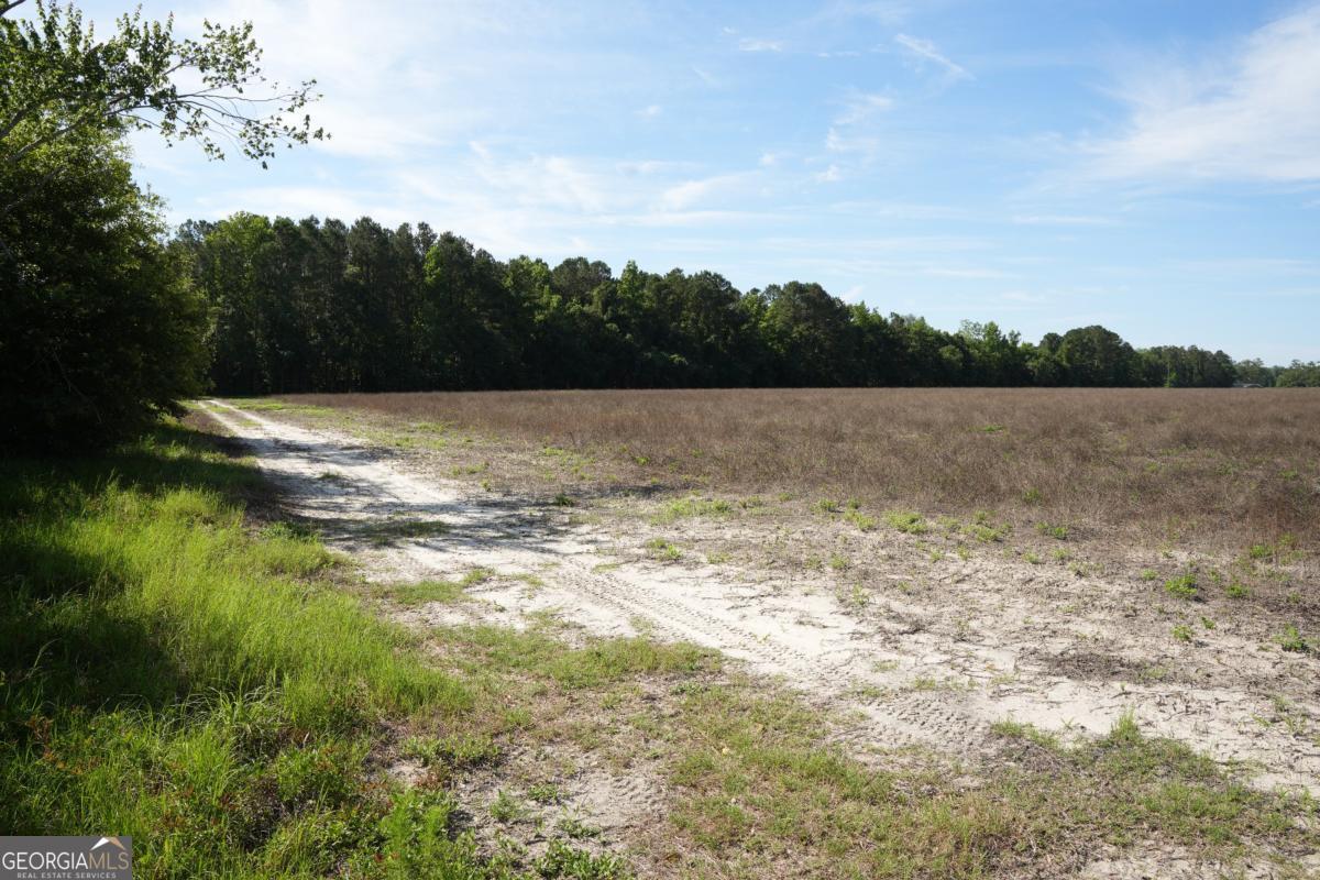 1800 Olive Branch Road Ellabell, GA 31308 - Photo 14 of 20