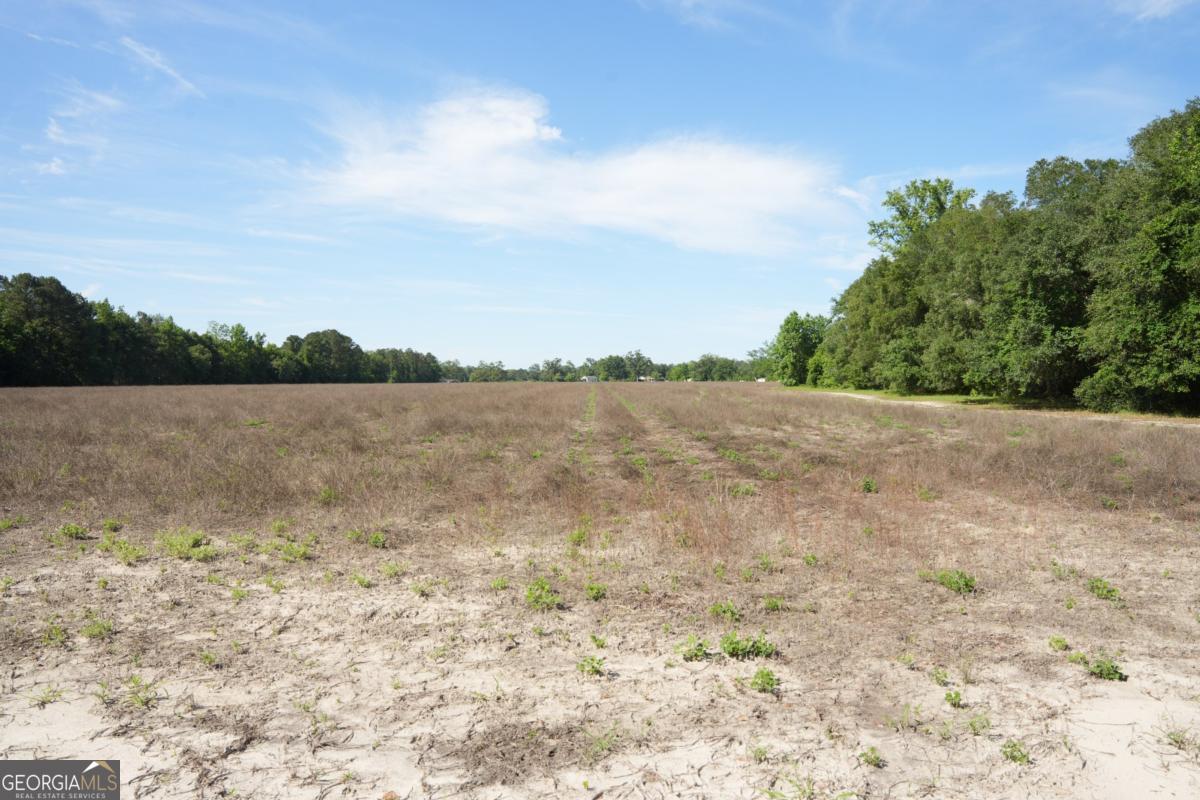 1800 Olive Branch Road Ellabell, GA 31308 - Photo 15 of 20