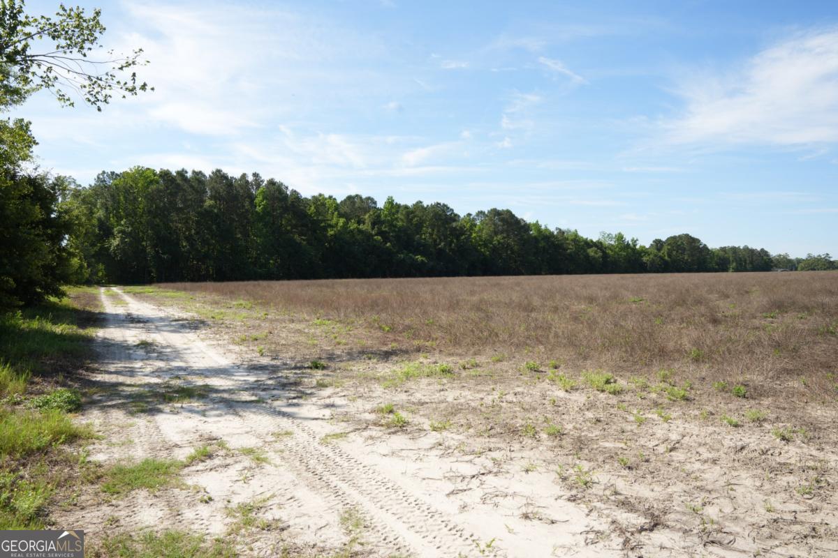 1800 Olive Branch Road Ellabell, GA 31308 - Photo 16 of 20